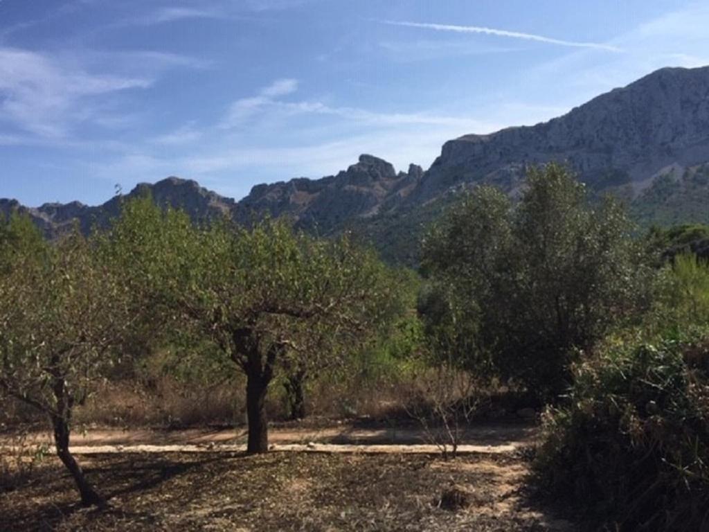 One Bed Apartment Overlooking Jalon Valley, Costa Blanca Alcalalí Εξωτερικό φωτογραφία