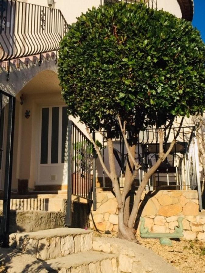 One Bed Apartment Overlooking Jalon Valley, Costa Blanca Alcalalí Εξωτερικό φωτογραφία