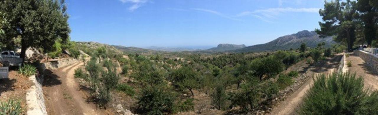 One Bed Apartment Overlooking Jalon Valley, Costa Blanca Alcalalí Εξωτερικό φωτογραφία