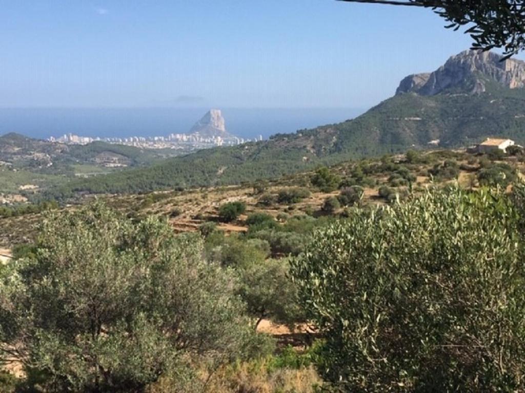 One Bed Apartment Overlooking Jalon Valley, Costa Blanca Alcalalí Εξωτερικό φωτογραφία
